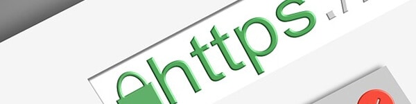 Secure Hypertext Transfer Protocol (HTTPs) search engine optimization wordlist