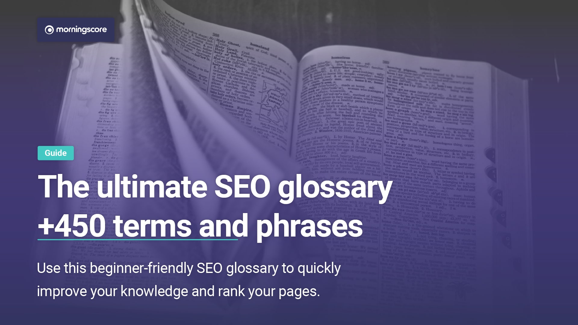 SEO glossary by Morningscore - all search engine optimization terms in the biggest seo dictionary