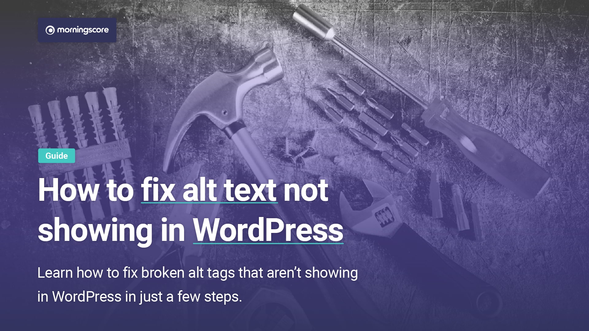 fixing alt attribute not showing in wordpress featured image