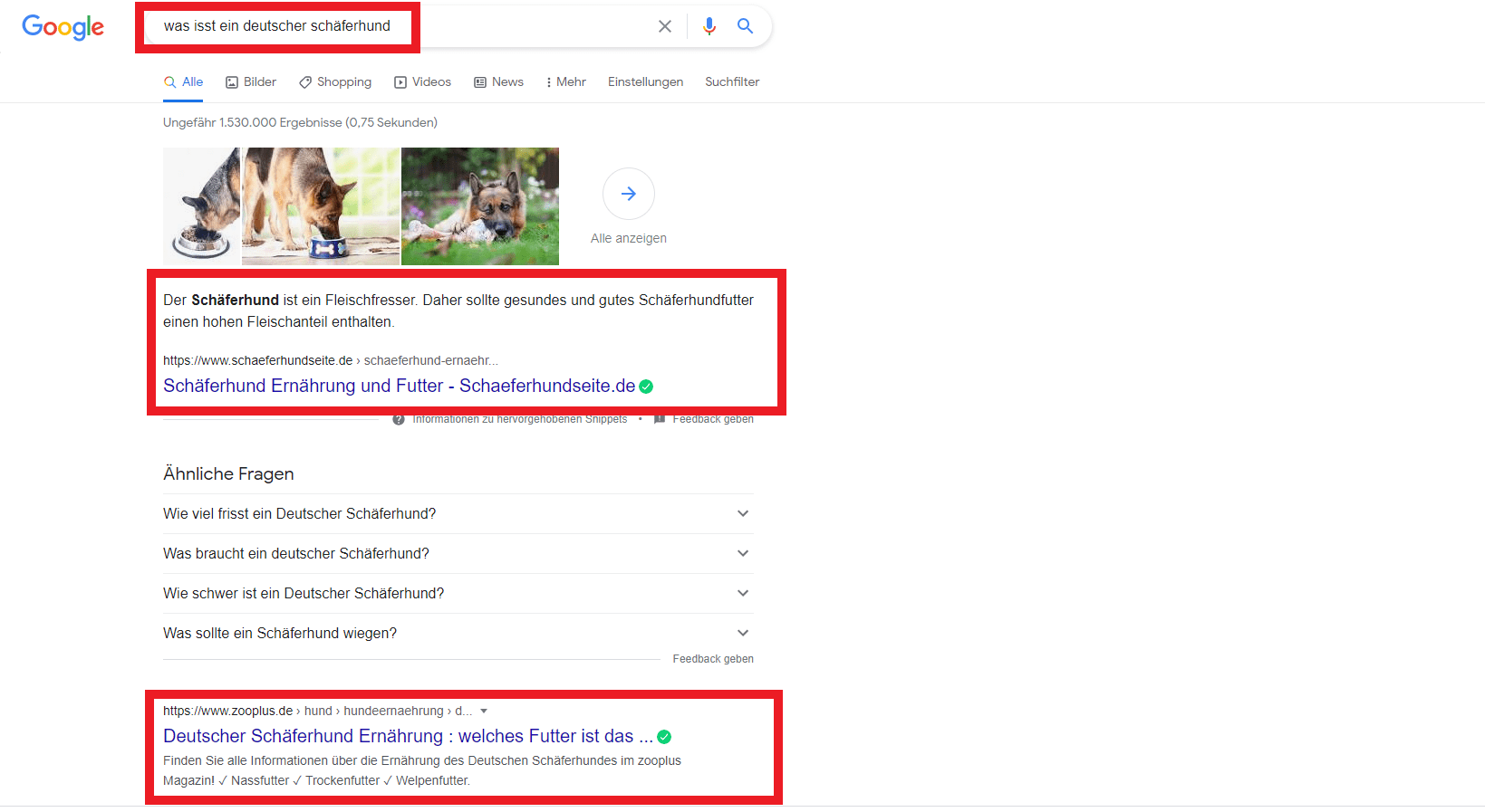 Überhole die Konkurrenz durch die Suchintention