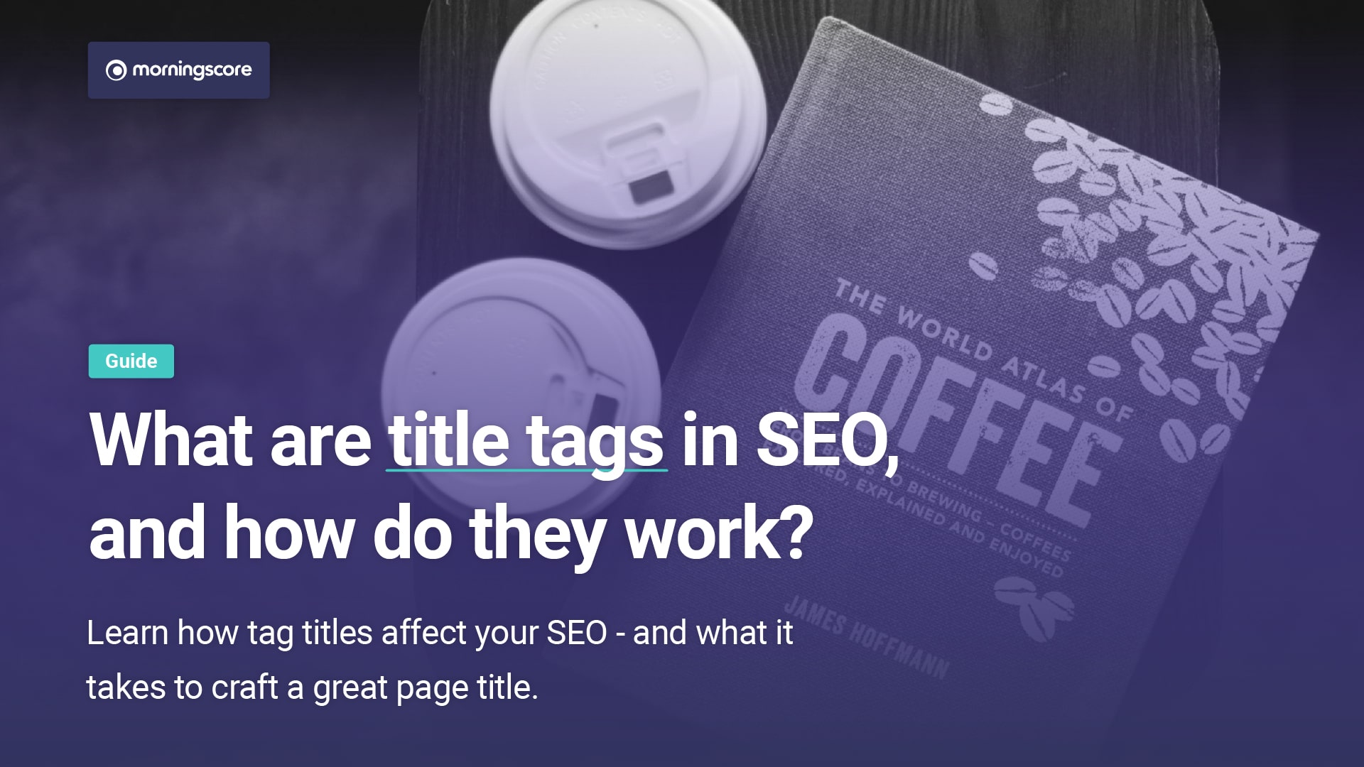 what are title tags in seo and how do they work writing tips