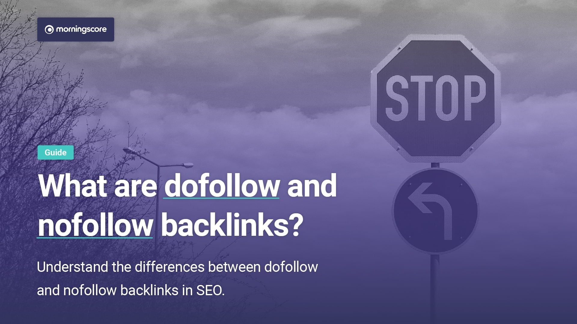 dofollow vs nofollow backlinks in seo