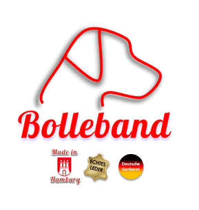 Bolleband logo