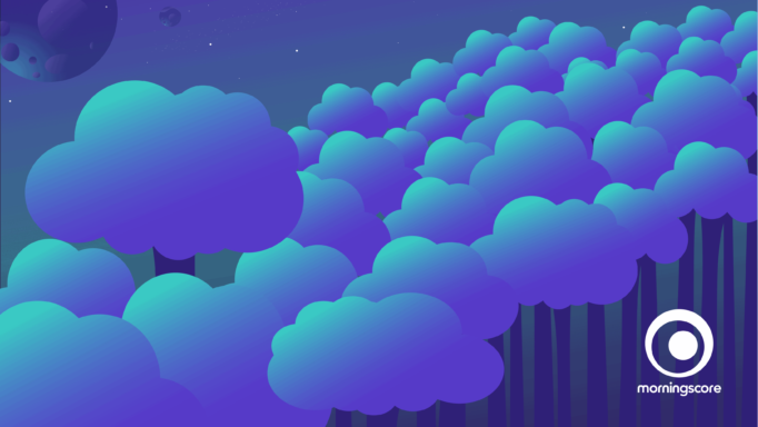 Morningwood - our forest in the making