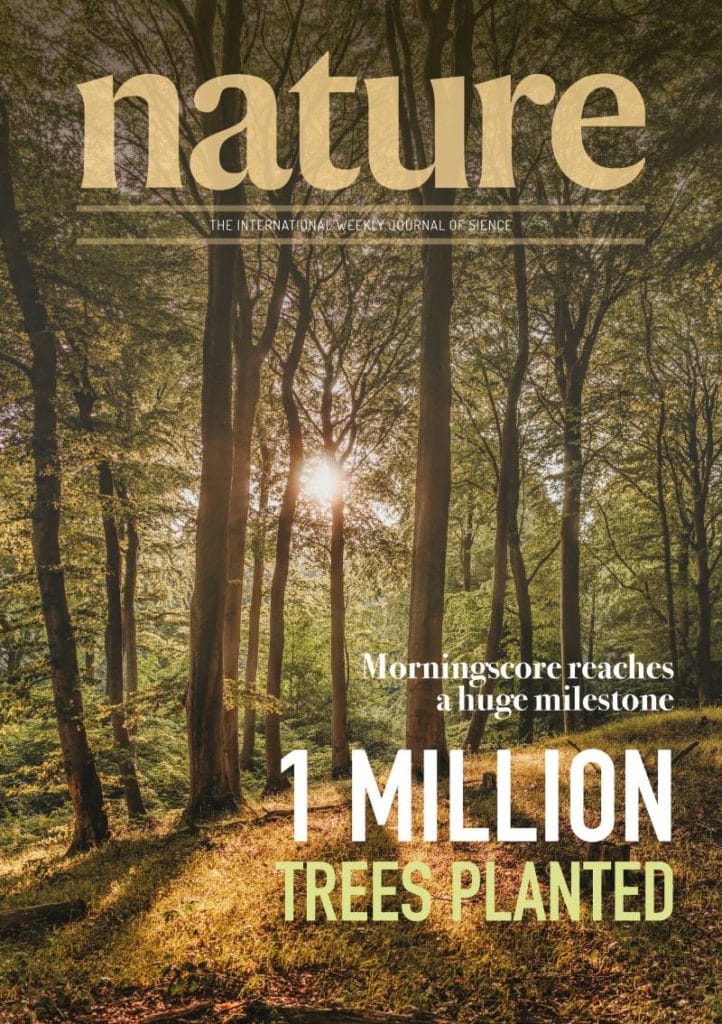 1 million trees on Funen, morningscore