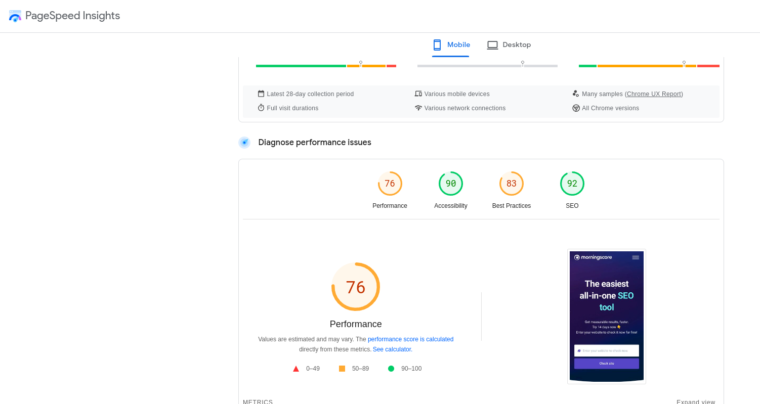 Google Pagespeed Insights interface 