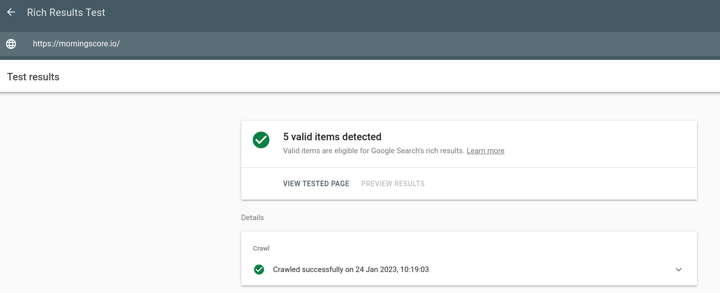 rich results test - Morningscore SEO tool