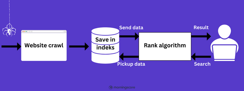 Crawl und Index illustriert