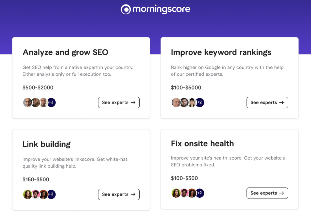 morningscore freelancers - Morningscore SEO tool
