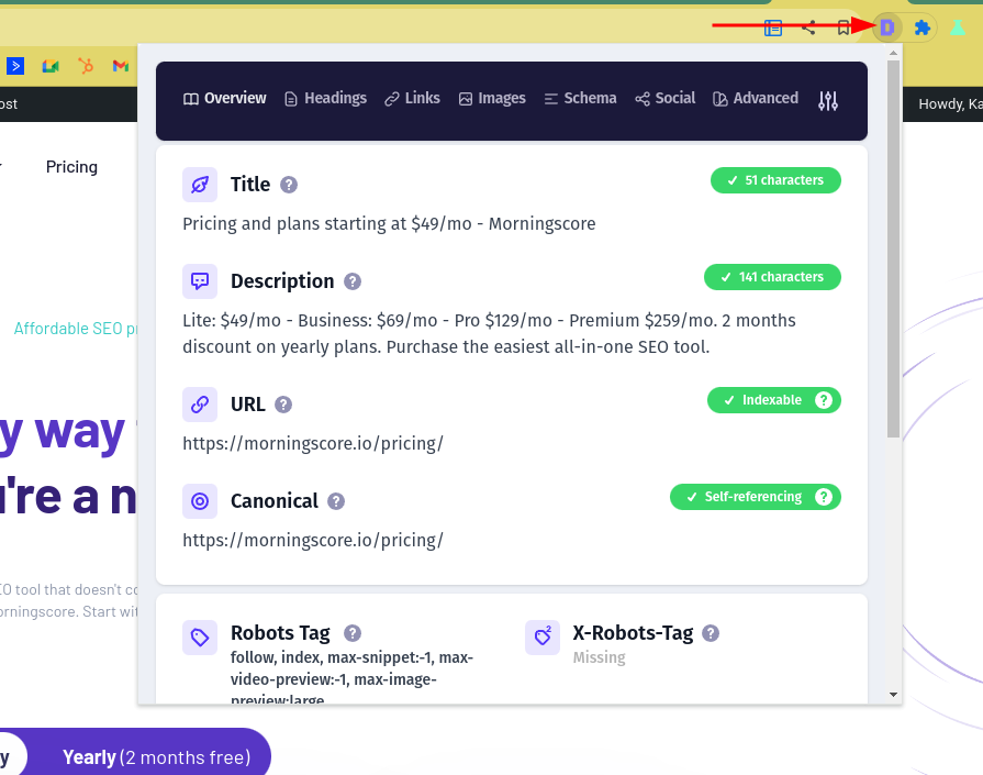 detailed seo tool chrome extension review - Morningscore SEO tool