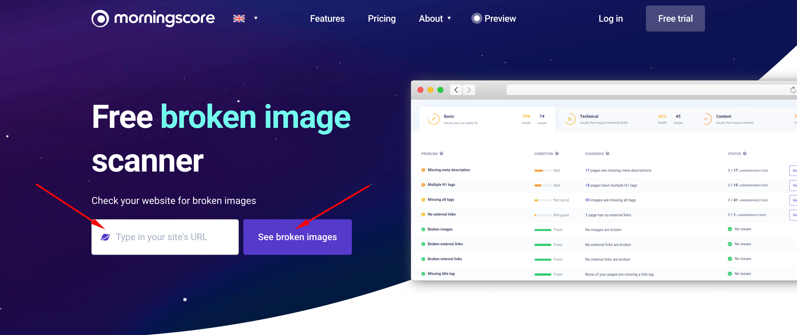 Scan for broken images on your website