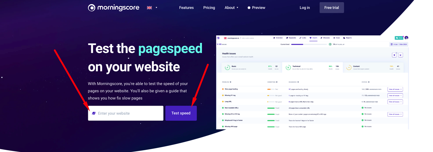 enter your website to test the speed of your pages