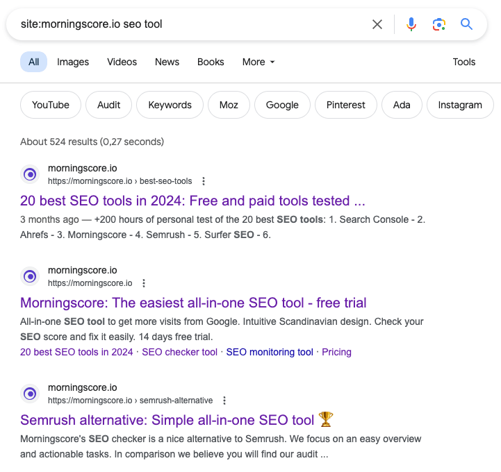 Google SERP site search example