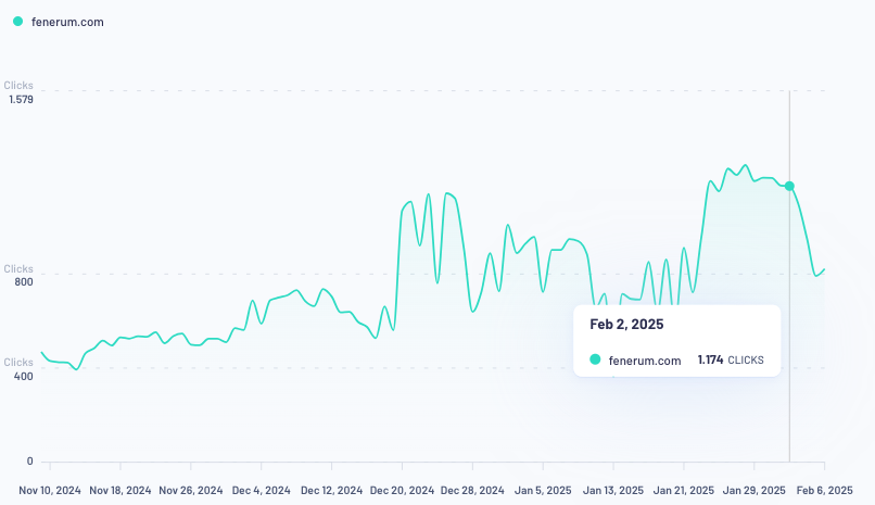 Fenerum 3 month SEO growth