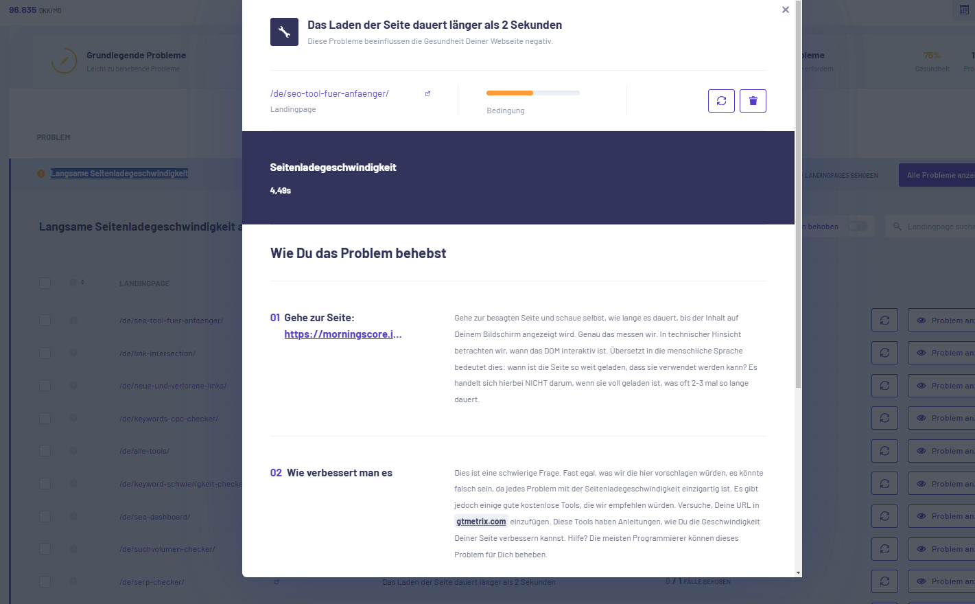 Problem anzeigen auf website speed im morningscore