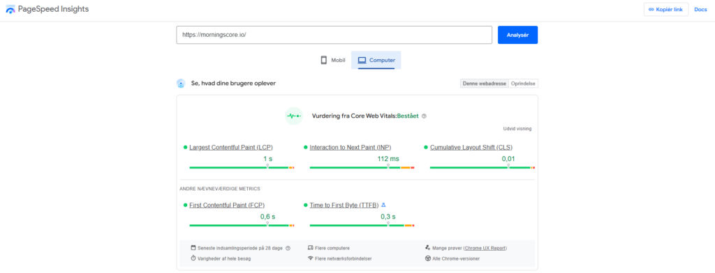 How to use Google pagespeed insight