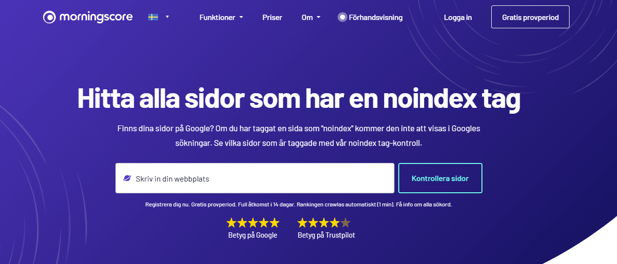 noindex tag-kontroll
