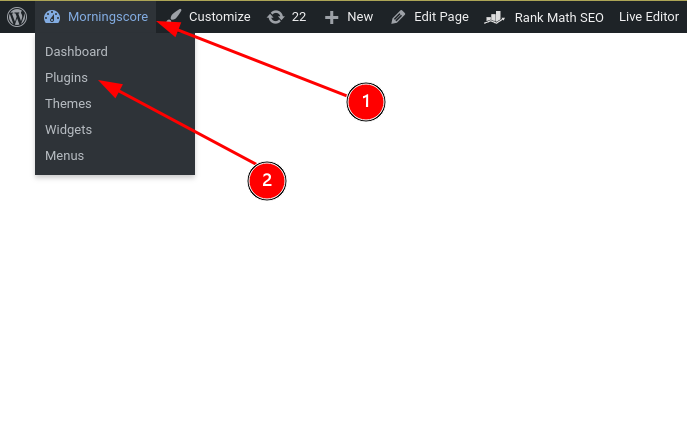 wp install plugin - Morningscore SEO tool