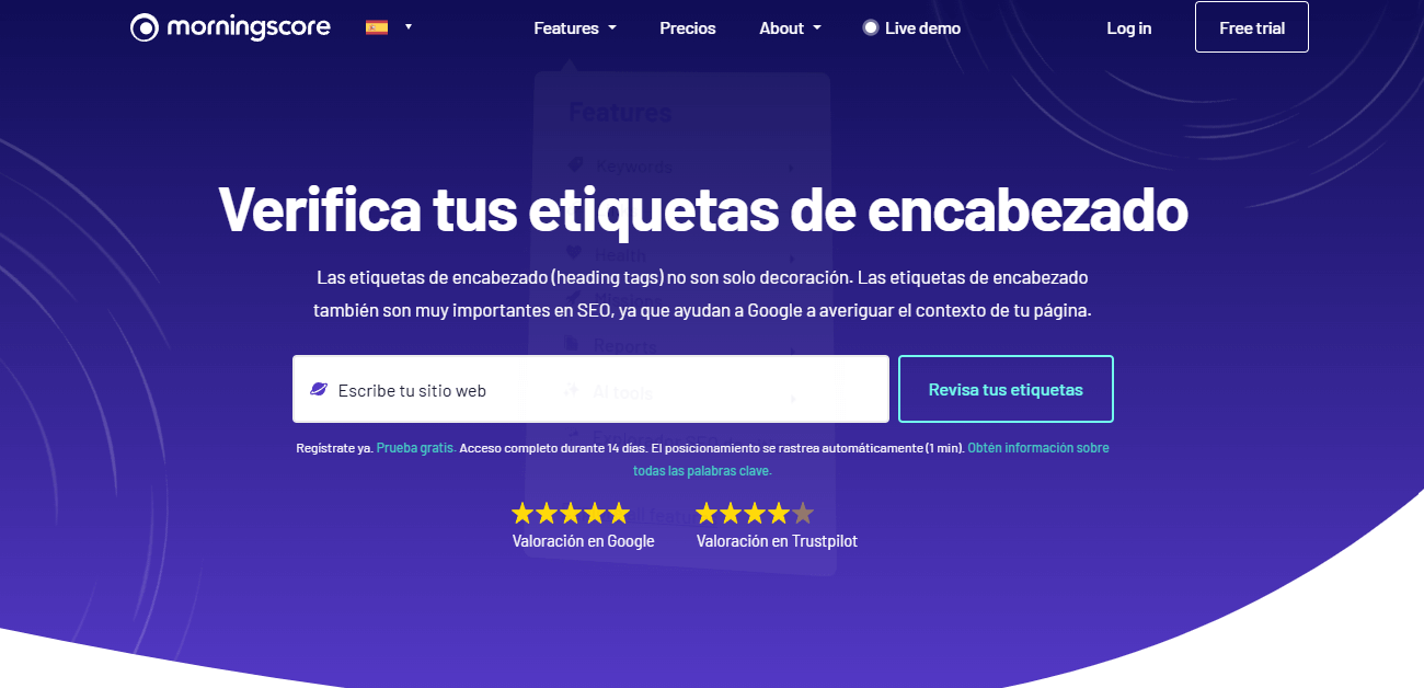 Verificador de etiquetas de encabezado(heading tag checker) en Morningscore