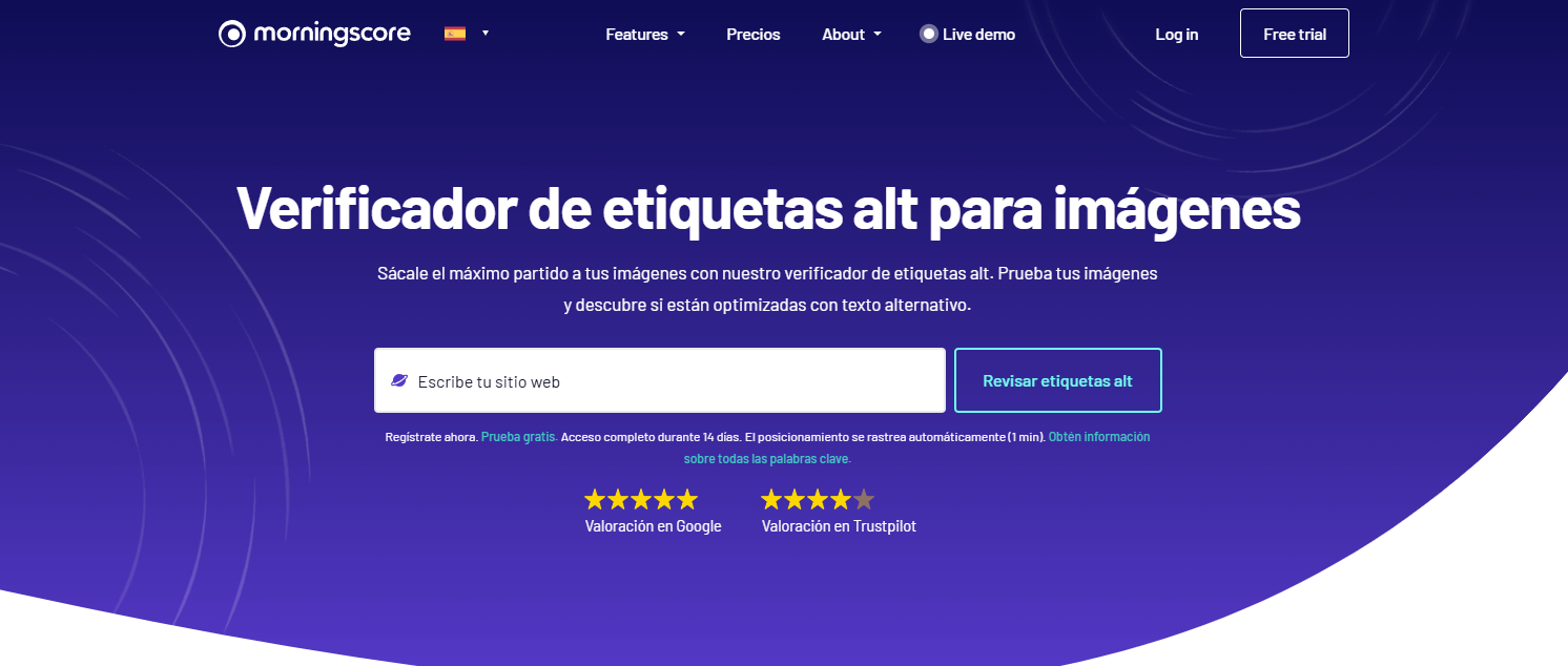 verificador de etiquetas alt (alt tags) en Morningscore