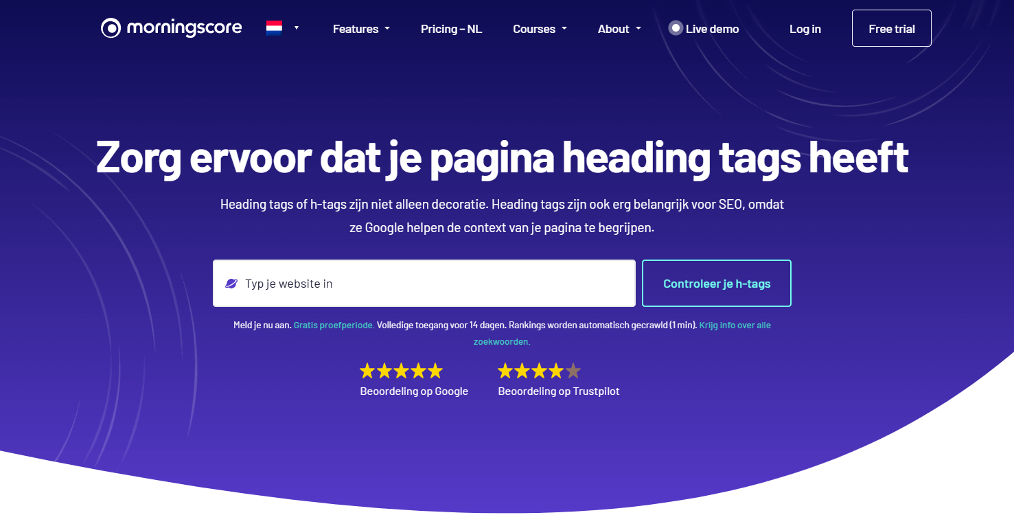 Heading tag checker in Morningscore