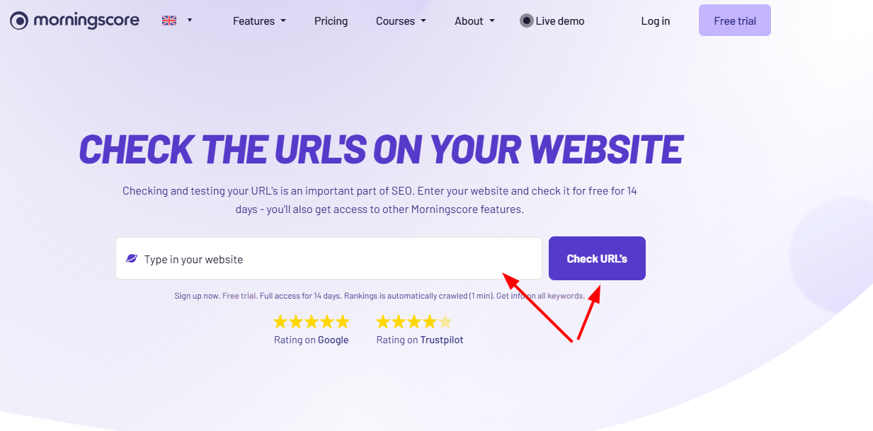 Enter your website to check its URLs