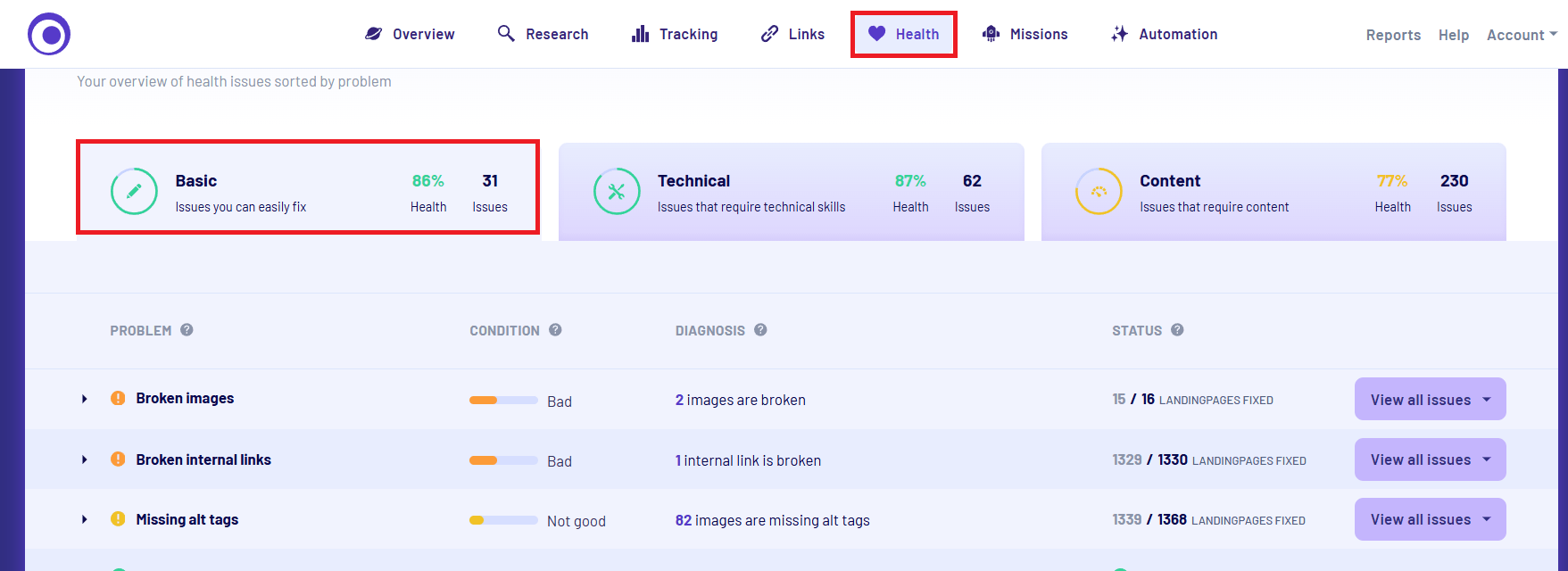 Morningscore Health section showing basic issues like missing alt tags