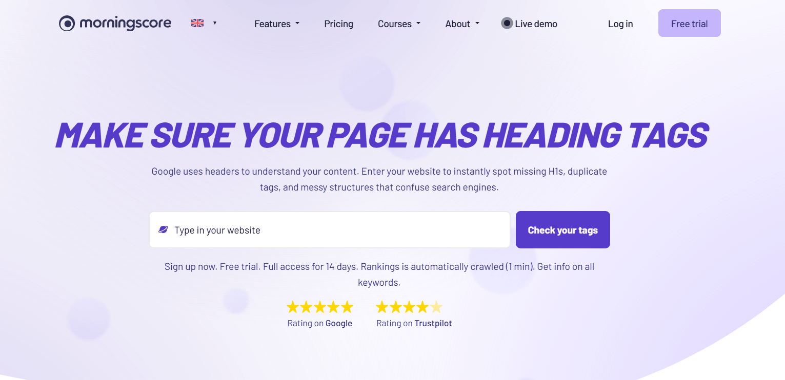 Frontpage for heading tag checker in morningscore